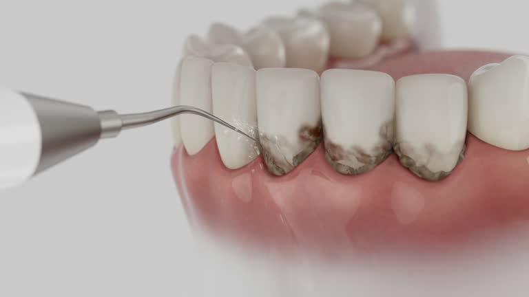 Reliable Dental contractor in Seabrook, MD by Dentist Open Now